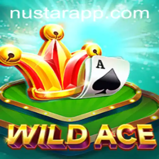 Exploring the Thrilling World of WildAce with NUSTAR